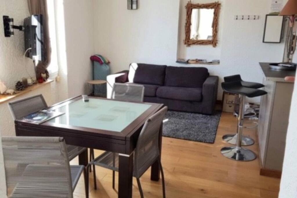 T2, 1 Seule Chambre, Tres Lumineux Apartment